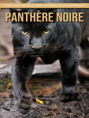 cover image of Panthère Noire